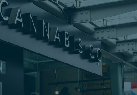 Experts In Marketing For The Cannabis Industry