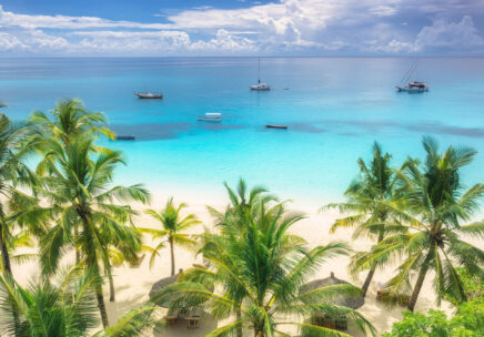 Our Travel Marketing Specialists Will Help Share Your Unique Story